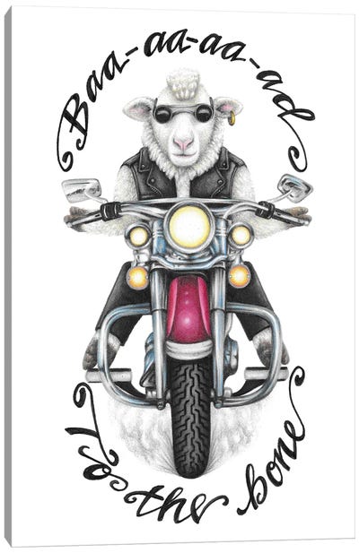 Baa-aa-aa-ad To The Bone Sheep Canvas Art Print - Mandy Heck