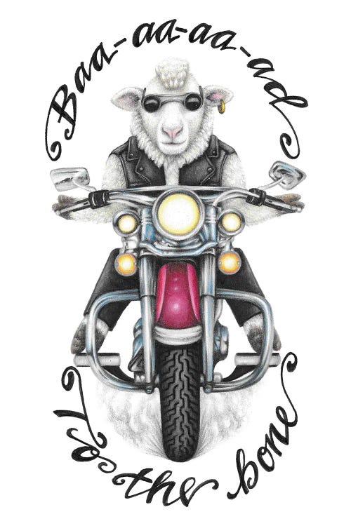 Baa-aa-aa-ad To The Bone Sheep