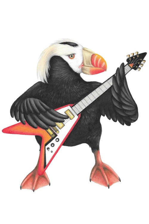 Rockin Puffin