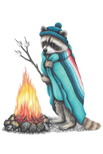 Raccoon And Campfire by Mandy Heck canvas print