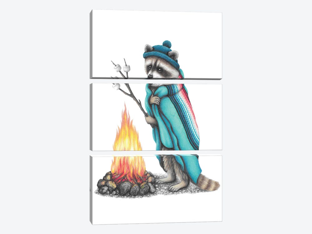 Raccoon And Campfire 3-piece Canvas Artwork