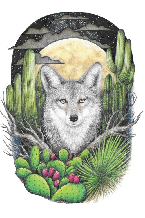 Coyote With Succulents