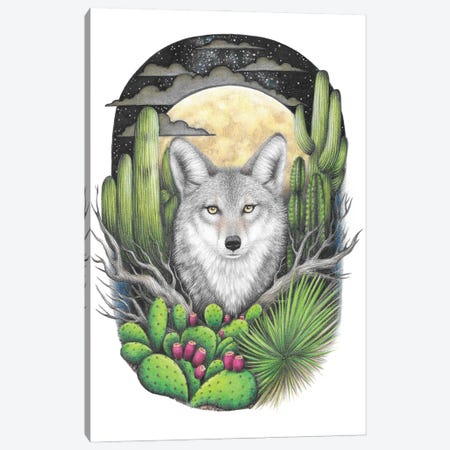 Coyote With Succulents Canvas Print #MHK5} by Mandy Heck Canvas Wall Art