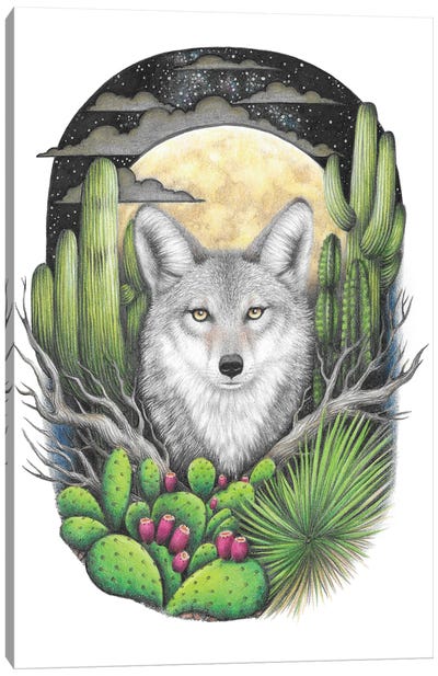 Coyote With Succulents Canvas Art Print - Coyote Art
