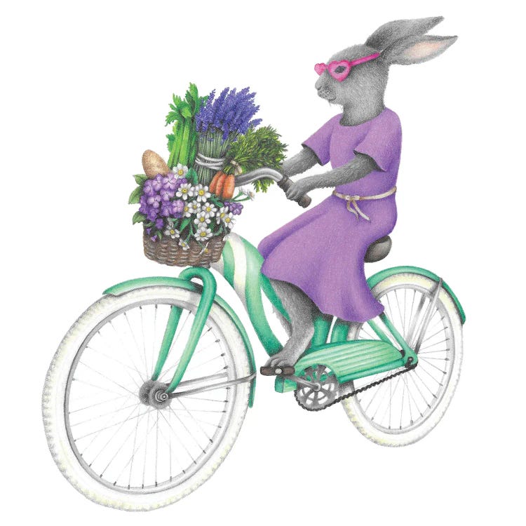 Bunny On A Bike