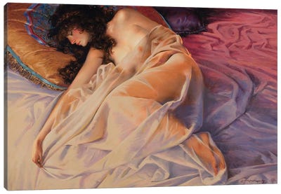 See Through Canvas Art Print - Draped in Realism