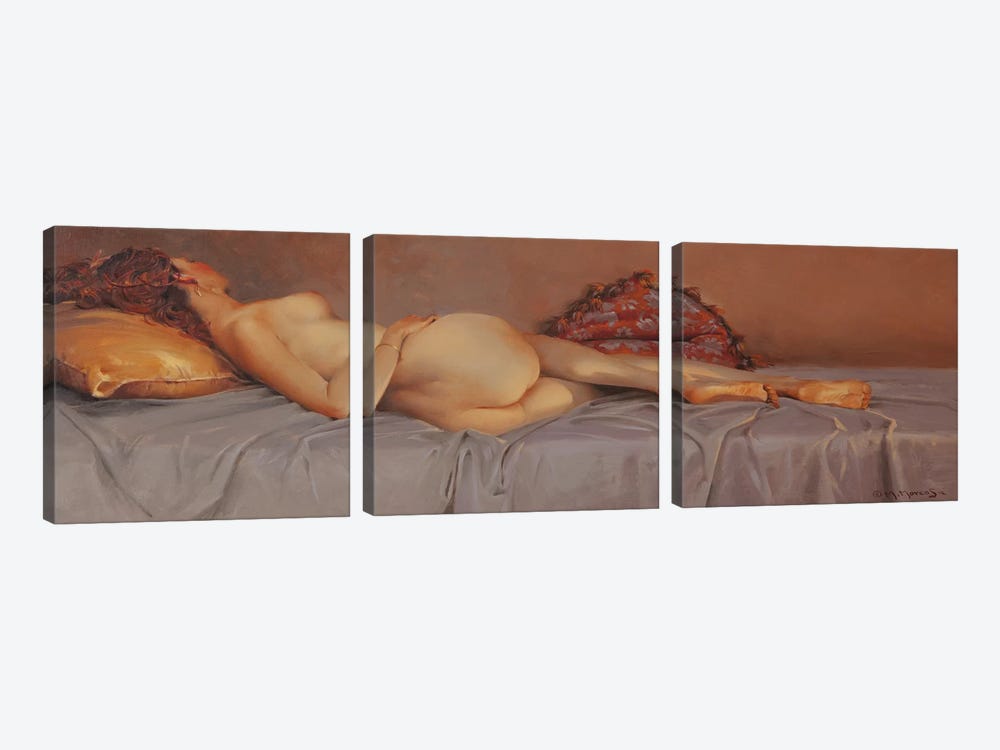 Soft Dreams by Maher Morcos 3-piece Canvas Art