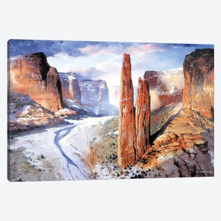 Spider Rock Canvas Print #MHM107} by Maher Morcos Art Print