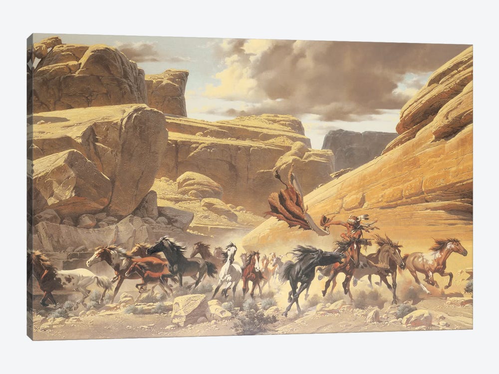 Through The Canyon by Maher Morcos 1-piece Canvas Art Print