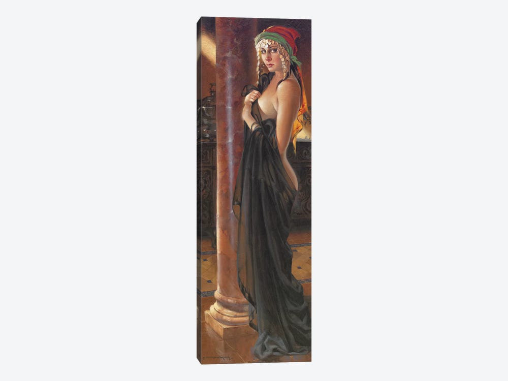 Wraped In Black by Maher Morcos 1-piece Canvas Artwork