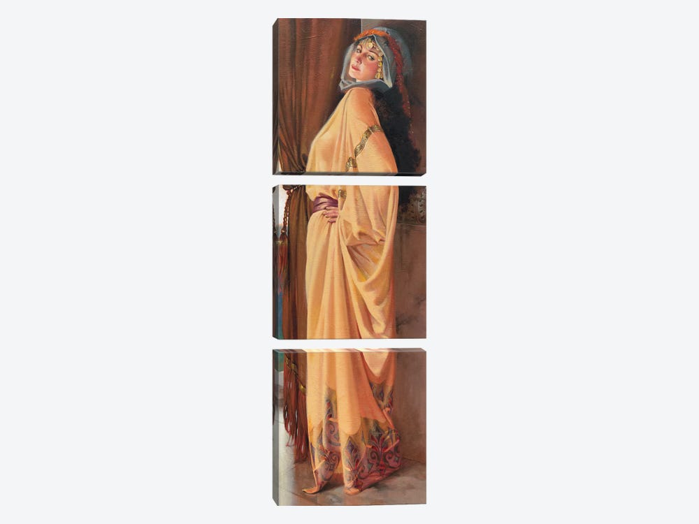 Arabian Woman by Maher Morcos 3-piece Canvas Wall Art