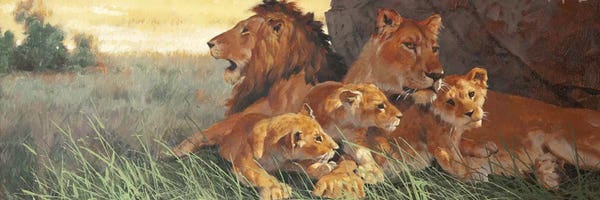 Maher Morcos: Family by Maher Morcos