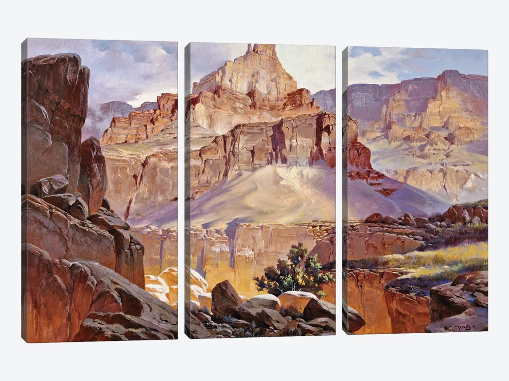 Grand Canyon Ii by Maher Morcos 3-piece Canvas Art Print