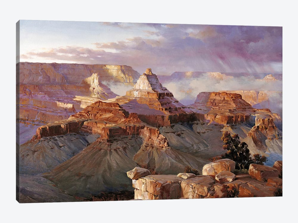 Grand Canyon Iii by Maher Morcos 1-piece Canvas Art