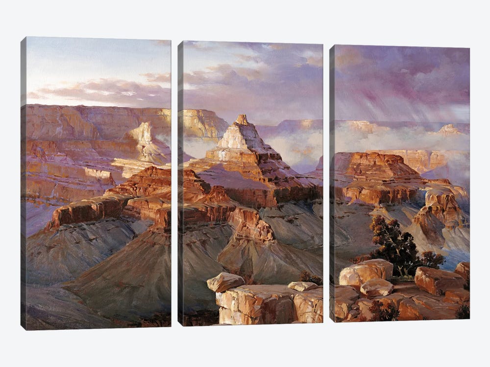 Grand Canyon Iii by Maher Morcos 3-piece Canvas Artwork