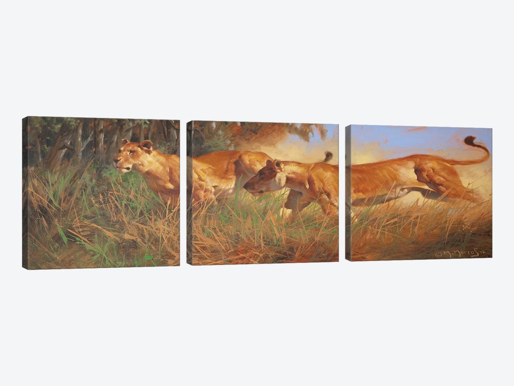 Hunting by Maher Morcos 3-piece Canvas Wall Art
