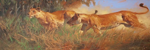 Maher Morcos: Hunting by Maher Morcos