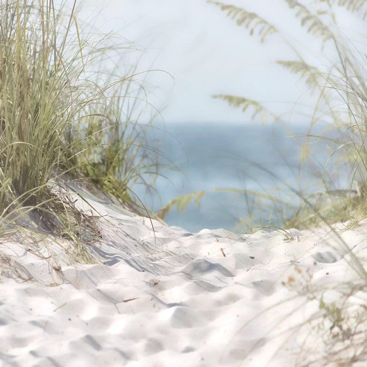 Over The Coastal Dune by Melody Hogan wall art