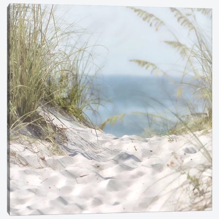 Over The Coastal Dune Canvas Print #MHO1} by Melody Hogan Canvas Print