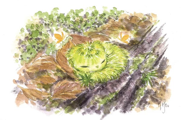 Martin Hsu: Forest Creature by Martin Hsu