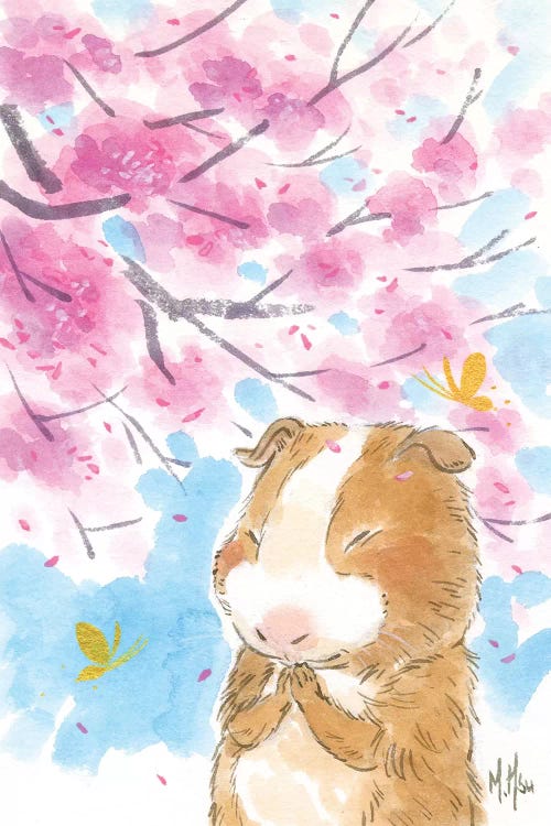 Cherry Blossom Guinea Pig by Martin Hsu wall art