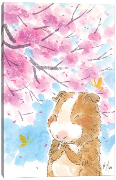 Cherry Blossom Guinea Pig Canvas Art Print - Martin Hsu
