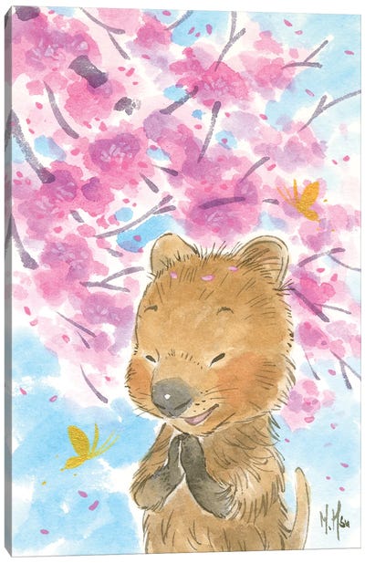 Cherry Blossom Quokka Canvas Art Print