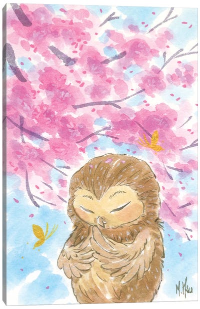 Cherry Blossom Owl Canvas Art Print - Cherry Blossom Art