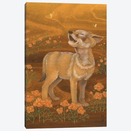 Coyote And Poppies Canvas Print #MHS138} by Martin Hsu Canvas Art Print