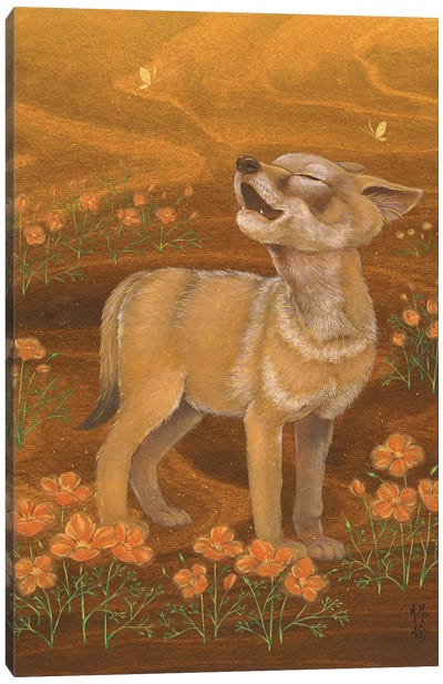 Coyote And Poppies Canvas Art Print - Coyote Art