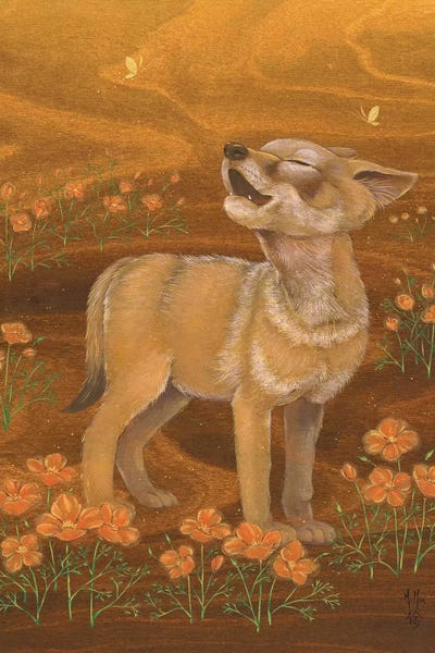 Martin Hsu: Coyote And Poppies by Martin Hsu