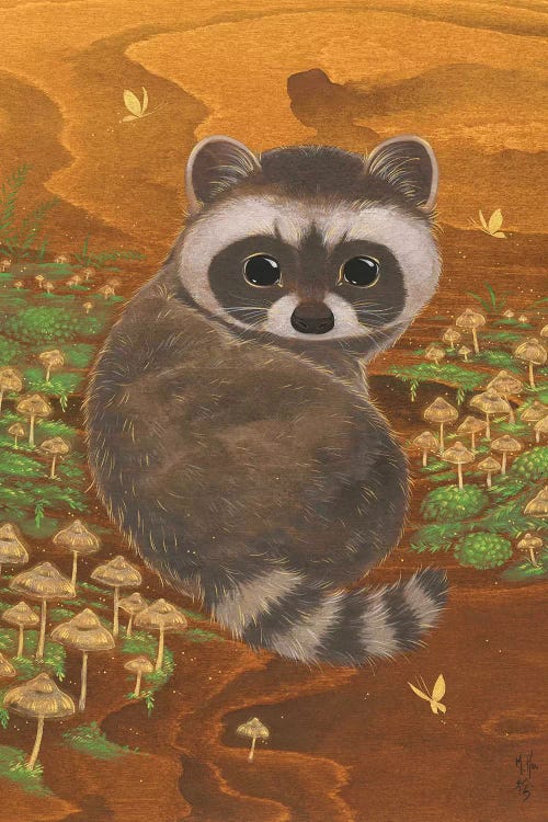 Raccoon And Mushrooms