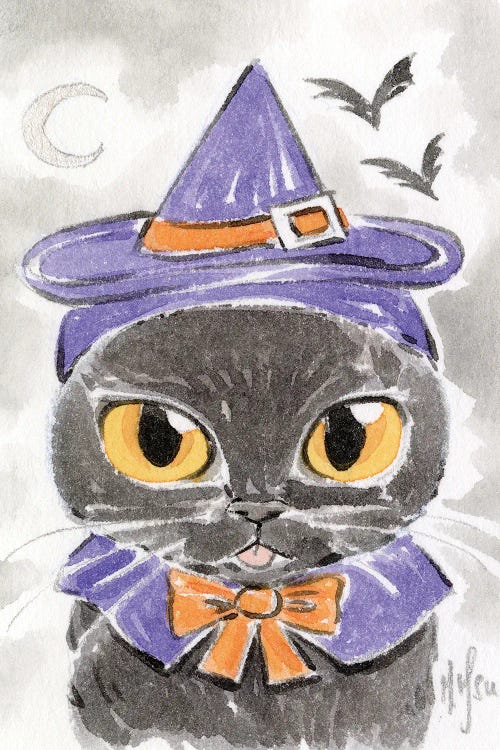 Cat - Witch