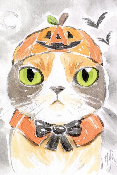 Martin Hsu: Cat - Pumpkin by Martin Hsu