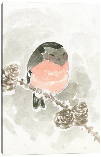 Lady Bird Canvas Art Print - Martin Hsu