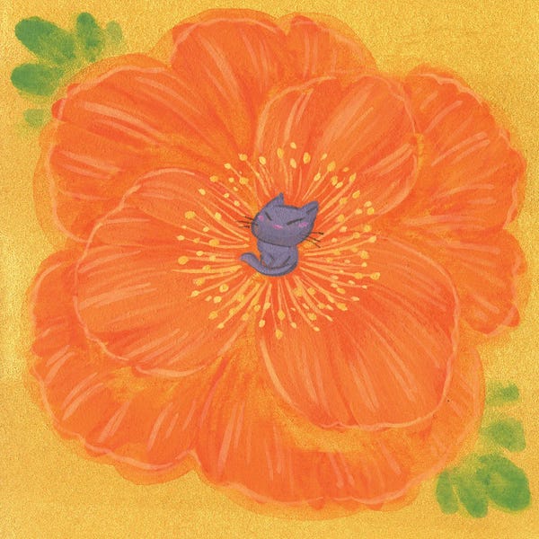Poppies: Poppy Black Cat by Martin Hsu