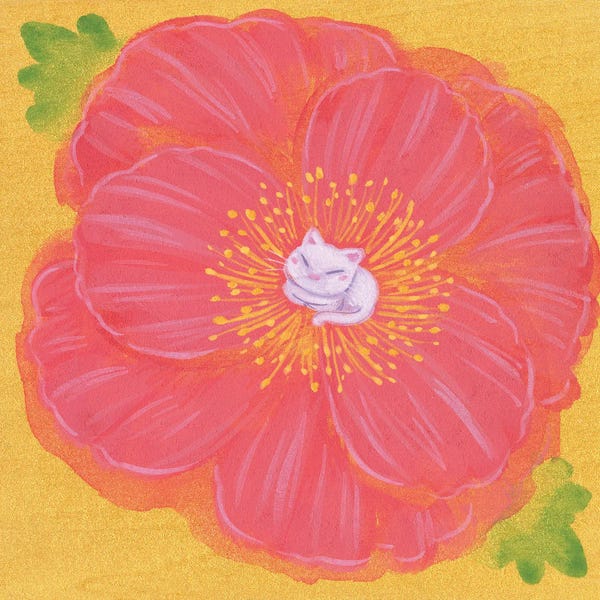 Martin Hsu: Poppy White Cat by Martin Hsu