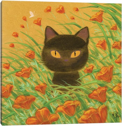 California Poppies Black Cat Canvas Art Print - Poppy Art