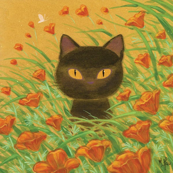Martin Hsu: California Poppies Black Cat by Martin Hsu