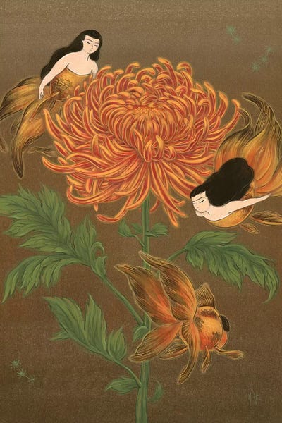 Chrysanthemums: Goldfish Mermaids - Autumn Chrysanthemum by Martin Hsu