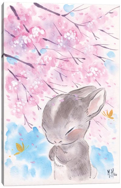 Cherry Blossom Wishes - Cottontail Canvas Art Print - Martin Hsu