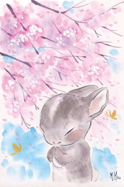 Martin Hsu: Cherry Blossom Wishes - Cottontail by Martin Hsu