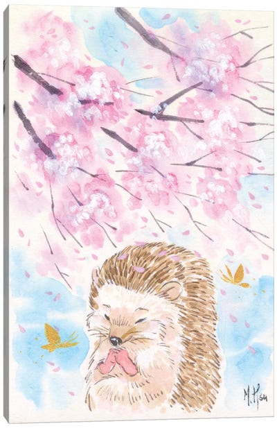 Cherry Blossom Wishes - Hedgehog Canvas Art Print - Hedgehogs