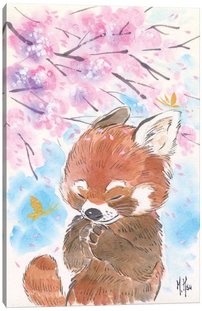Cherry Blossom Wishes - Red Panda Canvas Art Print - Red Panda Art