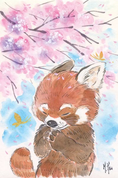 Martin Hsu: Cherry Blossom Wishes - Red Panda by Martin Hsu