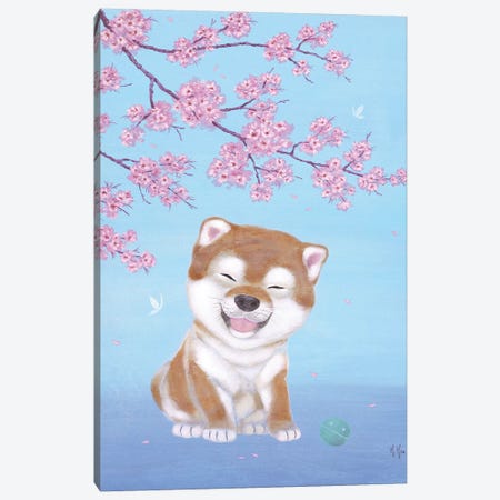 Shiba and Cherry Blossoms  Canvas Print #MHS41} by Martin Hsu Canvas Art