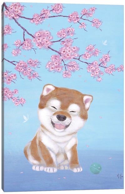 Shiba and Cherry Blossoms  Canvas Art Print