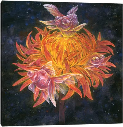 Goldfish Sun Canvas Art Print - Martin Hsu