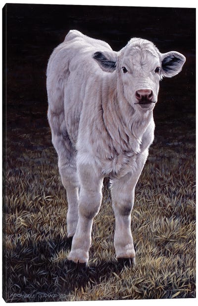 Calf Canvas Art Print