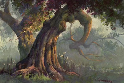 Day Dreaming by Michael Humphries canvas print